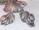 SET 3 RABBITS