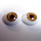 GLASS REAL EYES